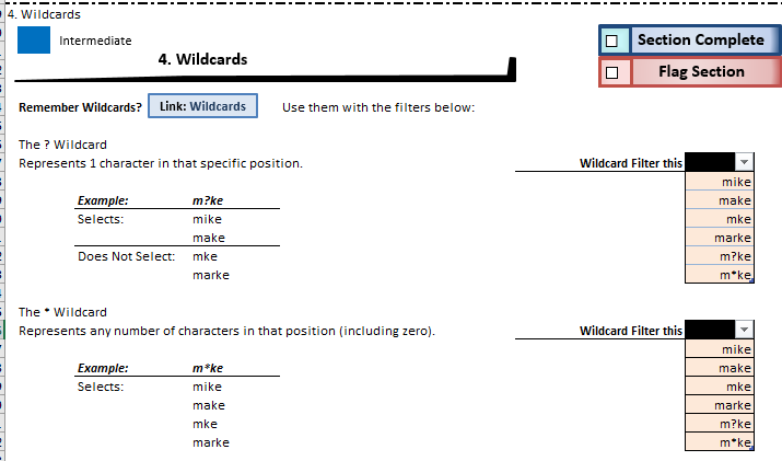 wildcard